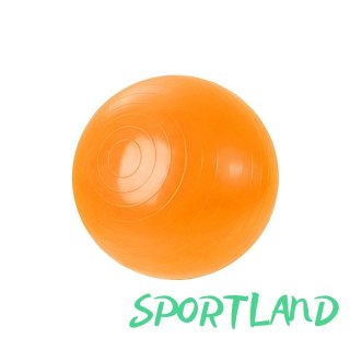 Piłka Gimnastyczna 45 cm 100504 N/A