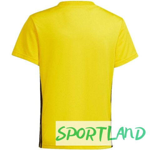 Koszulka adidas Tabela 23 Jersey Jr IA9156 152cm