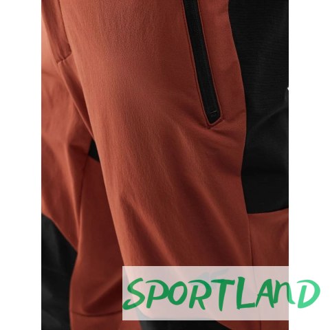 Spodnie 4F M 4FAW23TFTRM362-81S L Spodnie 4F M 4FAW23TFTRM362-81S L
