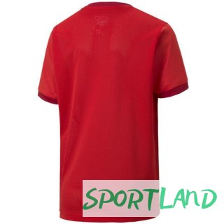 Koszulka Puma teamGOAL 23 Jersey Jr 704160 01 152cm
