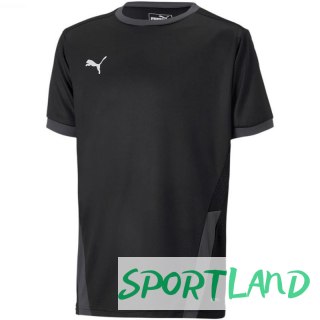 Koszulka Puma teamGOAL 23 Jersey Jr 704160 03 164cm