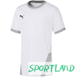 Koszulka Puma teamGOAL 23 Jersey Jr 704160 04 128cm