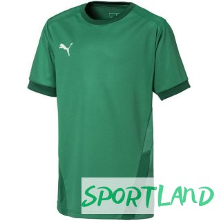 Koszulka Puma teamGOAL 23 Jersey Jr 704160 05 128cm