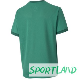 Koszulka Puma teamGOAL 23 Jersey Jr 704160 05 140cm