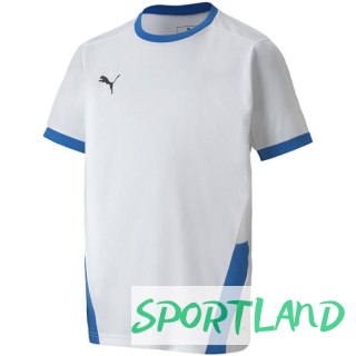 Koszulka Puma teamGOAL 23 Jersey Jr 704160 12 152cm