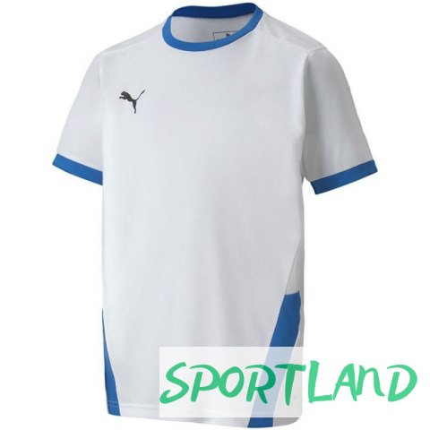 Koszulka Puma teamGOAL 23 Jersey Jr 704160 12 164cm Koszulka Puma teamGOAL 23 Jersey Jr 704160 12 164cm