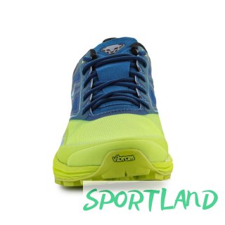 Buty do biegania Dynafit Alpine M 64064-8836 EU 45