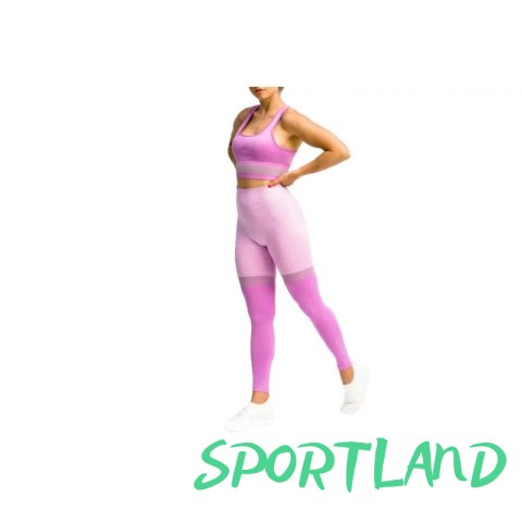 Legginsy GymHero Leggins Stripes W MAUVE S Legginsy GymHero Leggins Stripes W MAUVE S