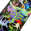 Deskorolka Spokey ze świecącą grafiką Ollie SPK-942542 N/A