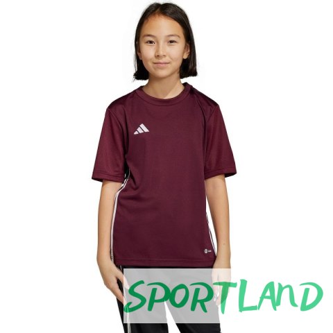 Koszulka adidas Tabela 23 Jersey Jr IB4933 140cm Koszulka adidas Tabela 23 Jersey Jr IB4933 140cm