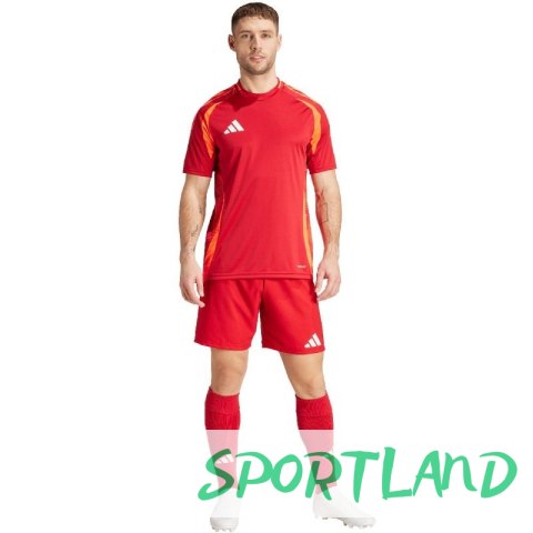 Spodenki adidas Tiro 24 Competition Training M IK2245 S Spodenki adidas Tiro 24 Competition Training M IK2245 S