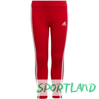 Legginsy adidas Essentials 3-Stripes Jr HF1898 116cm