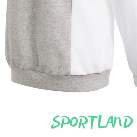 Bluza adidas CB FT HD Jr IP0386 164cm Bluza adidas CB FT HD Jr IP0386 164cm