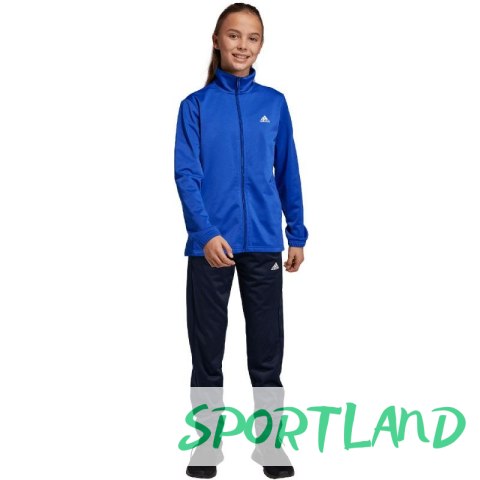 Dres adidas Essentials Big Logo Track Suit Jr HR6408 164cm Dres adidas Essentials Big Logo Track Suit Jr HR6408 164cm