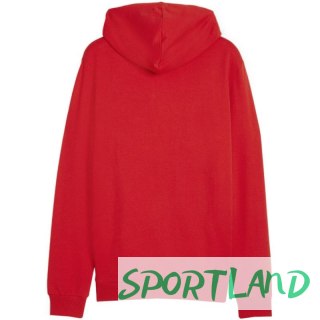 Bluza Puma Team Goal Casuals Hooded M 658595 01 XL