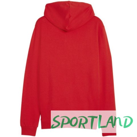 Bluza Puma Team Goal Casuals Hooded M 658595 01 XL Bluza Puma Team Goal Casuals Hooded M 658595 01 XL