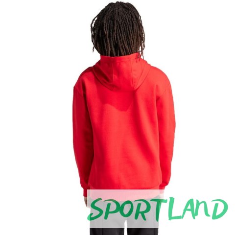 Bluza adidas FI Bos Hd Oly M IS8338 M Bluza adidas FI Bos Hd Oly M IS8338 M