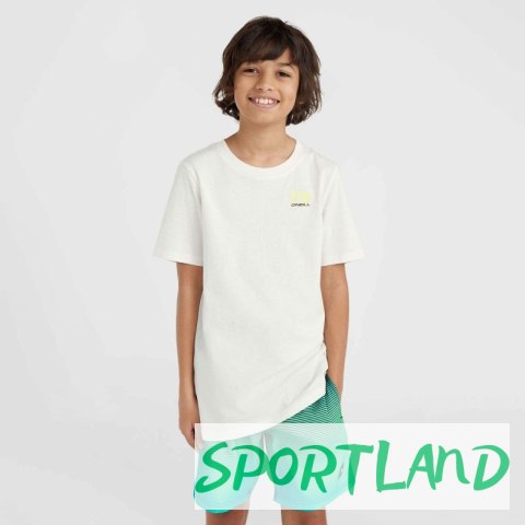 Koszulka O'Neill Jack T-Shirt Jr 92800613610 164 Koszulka O'Neill Jack T-Shirt Jr 92800613610 164