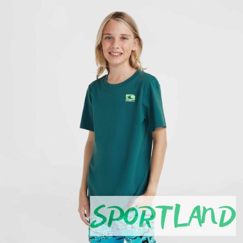 Koszulka O'Neill Jack T-Shirt Jr 92800613615 164 Koszulka O'Neill Jack T-Shirt Jr 92800613615 164