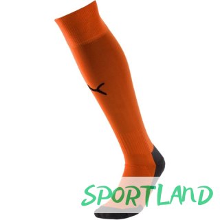Getry piłkarskie Puma Liga Core Socks 703441 08 43-46