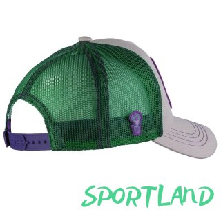 Czapka z daszkiem Capslab DC Comics Joker Cap CL-DC5-1-CAS-JOK2 One size