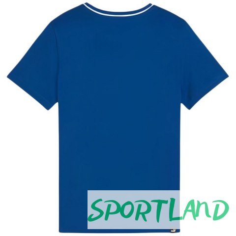 Koszulka Puma Squad Tee Jr 679259 20 164cm Koszulka Puma Squad Tee Jr 679259 20 164cm