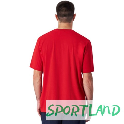 Koszulka Champion SS Tee M 220256 RS054 L Koszulka Champion SS Tee M 220256 RS054 L