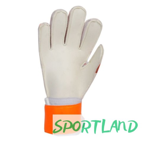 Rękawice bramkarskie Select Flexi Grip 6054405666 5 Rękawice bramkarskie Select Flexi Grip 6054405666 5