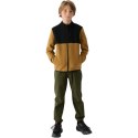 Bluza 4F M212 Jr 4FJWAW24TFLEM212 74S 164cm