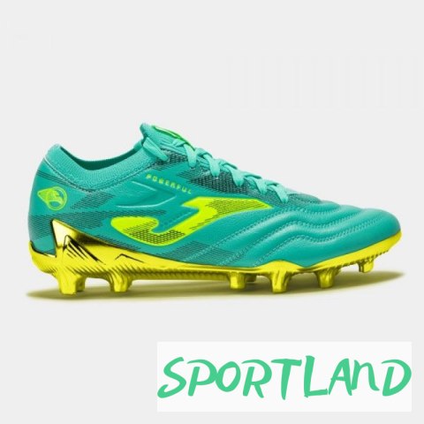POWERFUL CUP 2527 TURQUOISE FIRM GROUND 43 POWERFUL CUP 2527 TURQUOISE FIRM GROUND 43