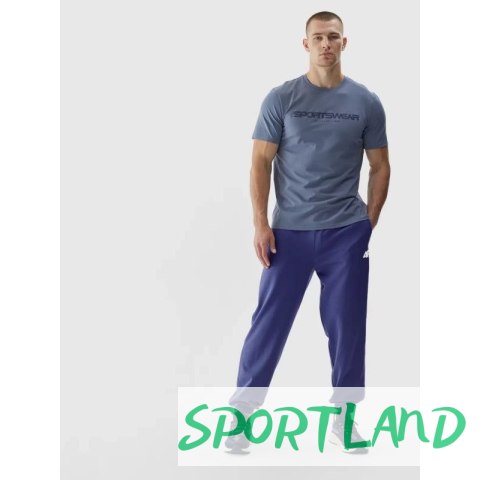 Spodnie dresowe 4F M 4FWAW24TTROM1277-31S 2XL Spodnie dresowe 4F M 4FWAW24TTROM1277-31S 2XL