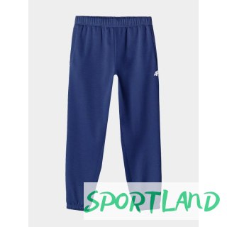 Spodnie dresowe 4F M 4FWAW24TTROM1277-31S XL