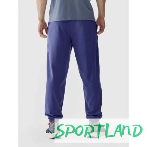 Spodnie dresowe 4F M 4FWAW24TTROM1277-31S L Spodnie dresowe 4F M 4FWAW24TTROM1277-31S L