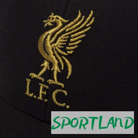 Czapka z daszkiem 47 Brand EPL Liverpool FC Metallic Snap 47 M MVP EPL-MTLCS04WBP-BKB One size Czapka z daszkiem 47 Brand EPL Liverpool FC Metallic Snap 47 M MVP EPL-MTLCS04WBP-BKB One size