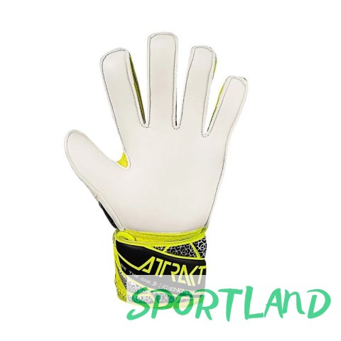 Rękawice bramkarskie Reusch Attrakt Solid Jr 5572515 2014 5 Rękawice bramkarskie Reusch Attrakt Solid Jr 5572515 2014 5