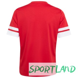 Koszulka adidas Squadra 25 Jr JJ0051 116 cm