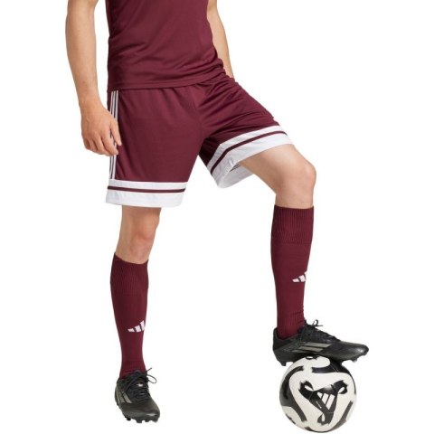 Spodenki adidas Squadra 25 M JC8677 S Spodenki adidas Squadra 25 M JC8677 S