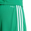Spodenki adidas Squadra 25 M JN7482 2 XL
