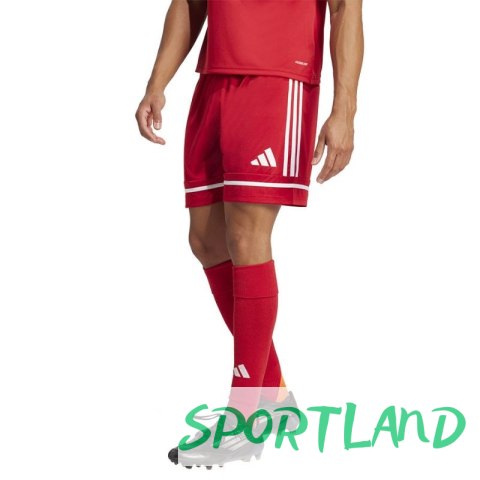 Spodenki piłkarskie adidas Squadra M 25 Short JN5466 L