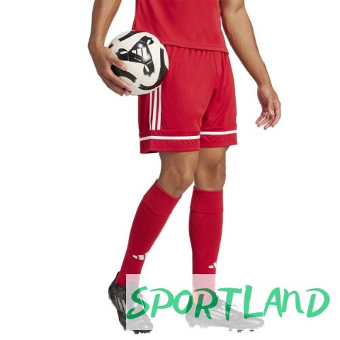 Spodenki piłkarskie adidas Squadra M 25 Short JN5466 L