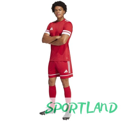 Spodenki piłkarskie adidas Squadra M 25 Short JN5466 L