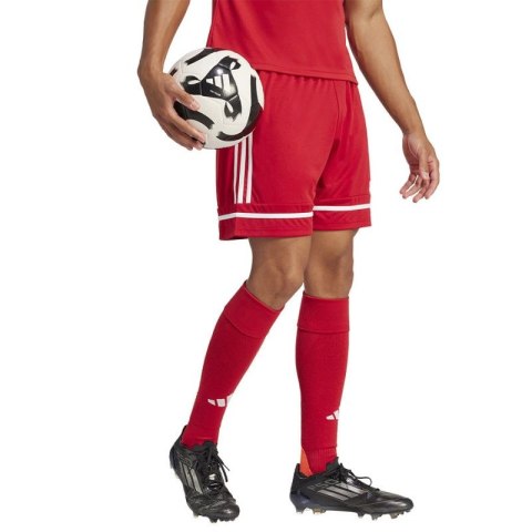 Spodenki piłkarskie adidas Squadra M 25 Short JN5466 XXL Spodenki piłkarskie adidas Squadra M 25 Short JN5466 XXL