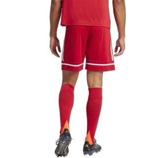 Spodenki piłkarskie adidas Squadra M 25 Short JN5466 M