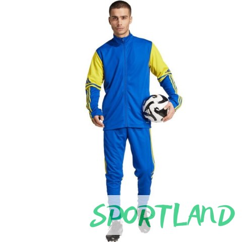 Spodnie adidas Squadra 25 Training M JP3152 S Spodnie adidas Squadra 25 Training M JP3152 S