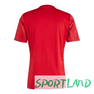 Koszulka adidas Team Icon 25 M JM8360 L (183cm)