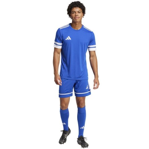 Spodenki adidas Squadra M 25 Short JN5465 M