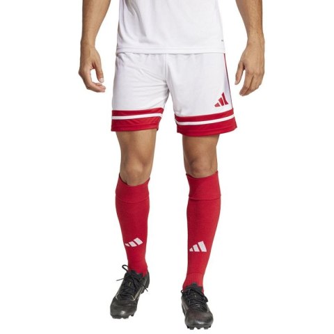 Spodenki adidas Squadra 25 M JH3404 L