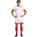 Spodenki adidas Squadra 25 M JH3404 S