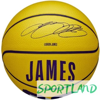 Piłka do koszykówki Wilson NBA Player Icon LeBron James Mini Ball WZ4027701XB 3