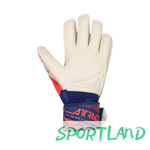 Rękawice bramkarskie Reusch Attrakt Silver Jr 5572214 2500 5,5